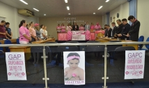 Câmara de vereadores de Cajazeiras realiza sessão especial sobre a prevenção do câncer de mama