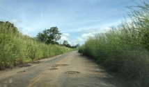 Motoristas reclamam de buracos e mato na PB 400, no Sertão da Paraíba