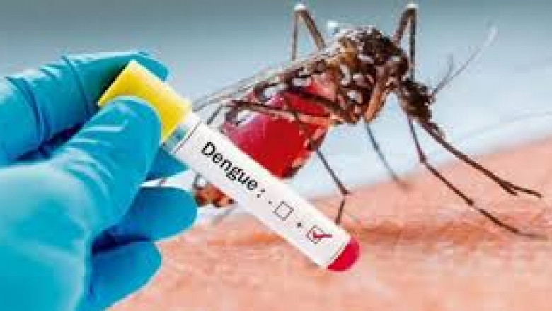 Dengue: registros de casos na Paraíba caem durante pandemia
