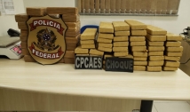 Polícias Militar e Federal apreendem 82 quilos de drogas na Paraíba