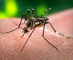 Paraíba identifica dois sorotipos de dengue em circulação no Estado