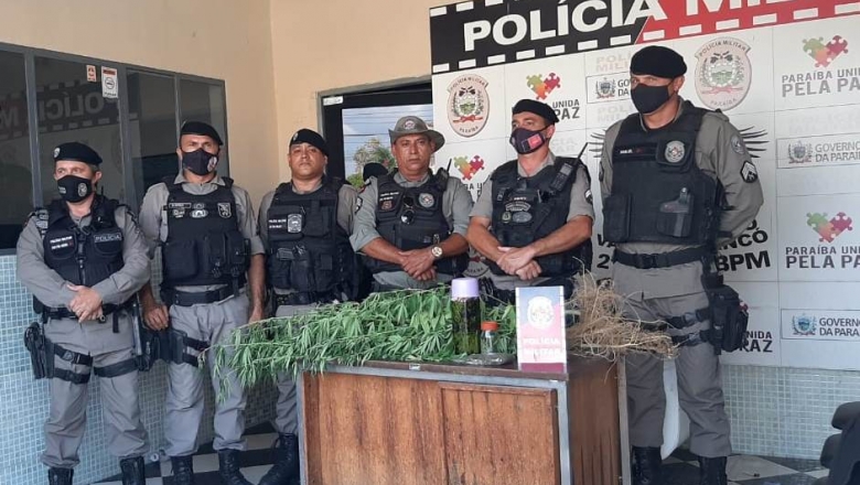 Polícia desarticula plantio de maconha em Conceição