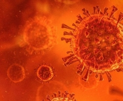 Brasil não sabe quantas mutações do coronavírus circulam no país