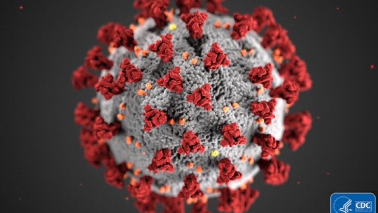 Células de defesa respondem contra variantes do coronavírus