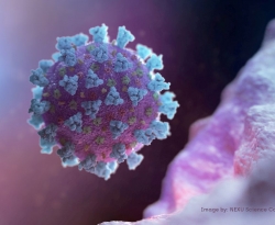 Estudo: anticorpos de quem teve covid-19 não protegem contra variante