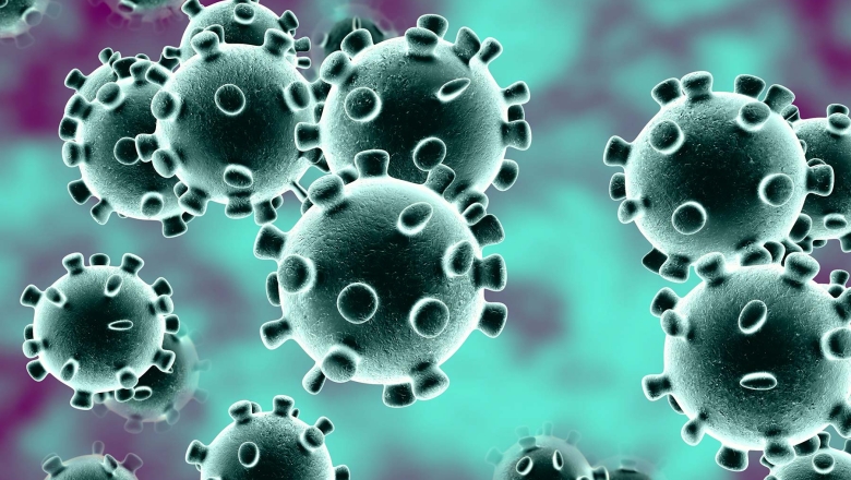 Covid-19: em dois anos, variantes e vacinas moldaram fases da pandemia