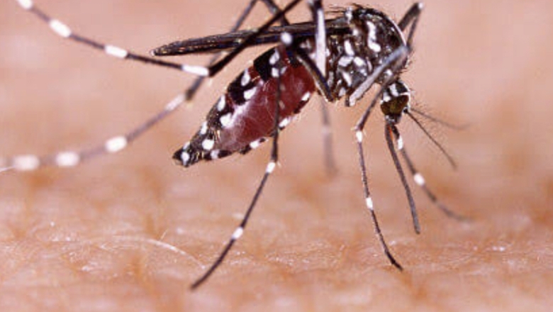 Boletim Epidemiológico registra aumento de 8% nos casos prováveis de dengue, zika e chikungunya na Paraíba