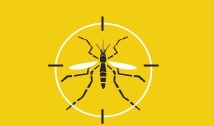 Boletim de arboviroses aponta redução dos casos de Dengue e Chikungunya na Paraíba