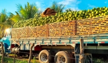 Agroindústria do Alto Sertão paraibano aumenta faturamento em 37%, após inovações e boas práticas ambientais