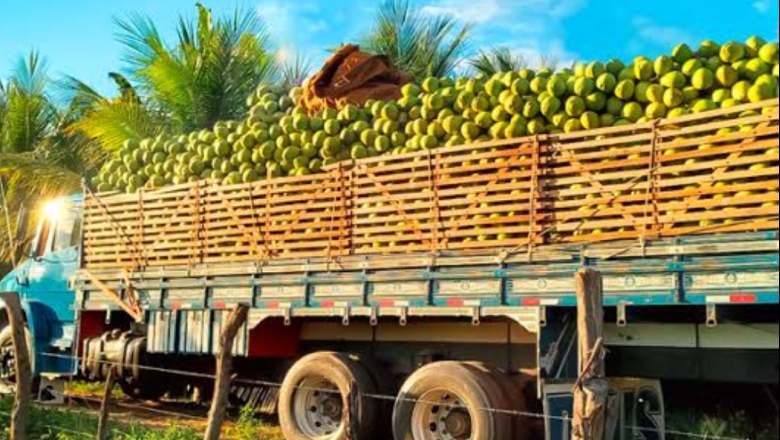 Agroindústria do Alto Sertão paraibano aumenta faturamento em 37%, após inovações e boas práticas ambientais