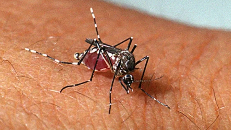 João Pessoa e mais 13 cidades vão receber vacina contra dengue