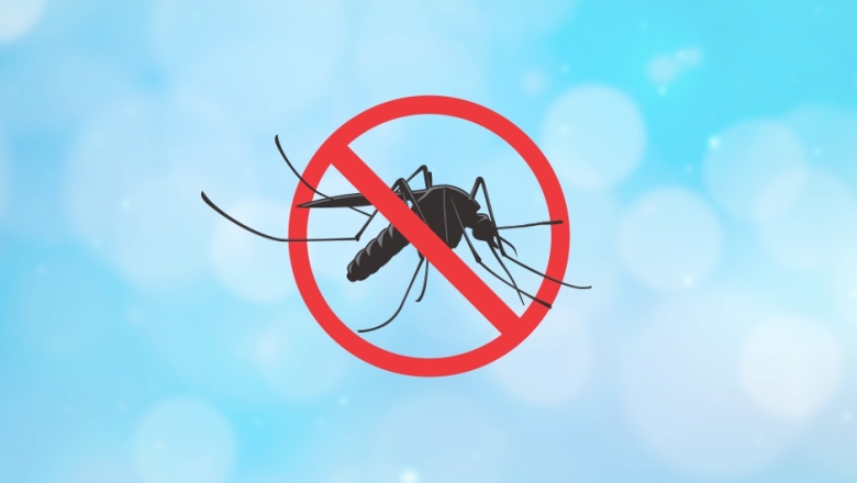 Infecções graves transmitidas pelo Aedes aegypti não se limitam à dengue