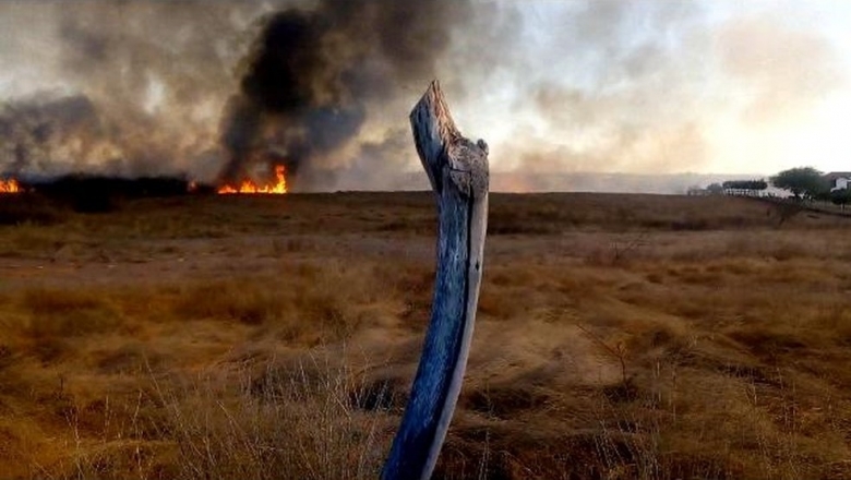 Incêndio de grandes proporções é registrado em zona rural de Serra Grande; vídeo