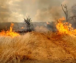 Mais de 550 incêndios foram registrados no Sertão da Paraíba este ano