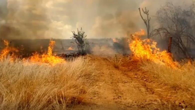 Mais de 550 incêndios foram registrados no Sertão da Paraíba este ano